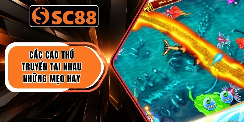 Bắn Cá Ăn Xu - Mẹo Nhắm Chính Xác Mọi Loại Boss 2 Các cao thủ truyền tai nhau những mẹo hay